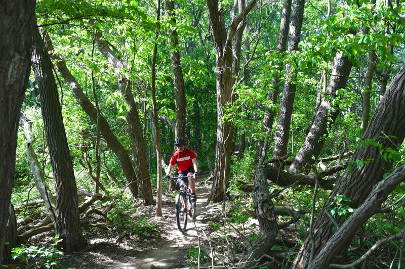 Luton Park Mountain Biking Trails